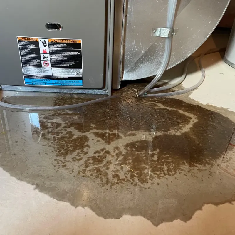 Appliance Leak Cleanup in Assonet, MA